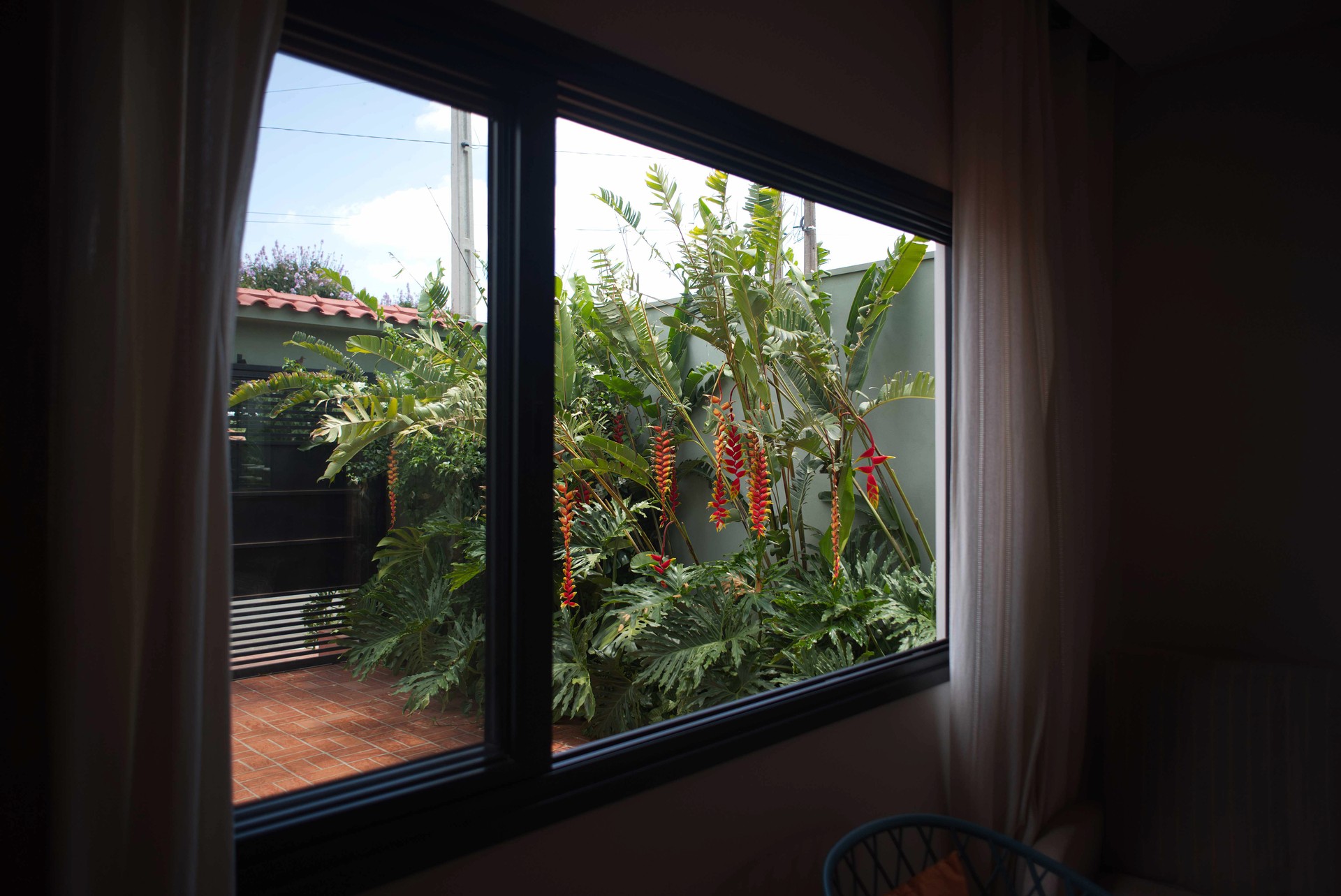 Janela da sala com vista para jardim tropical