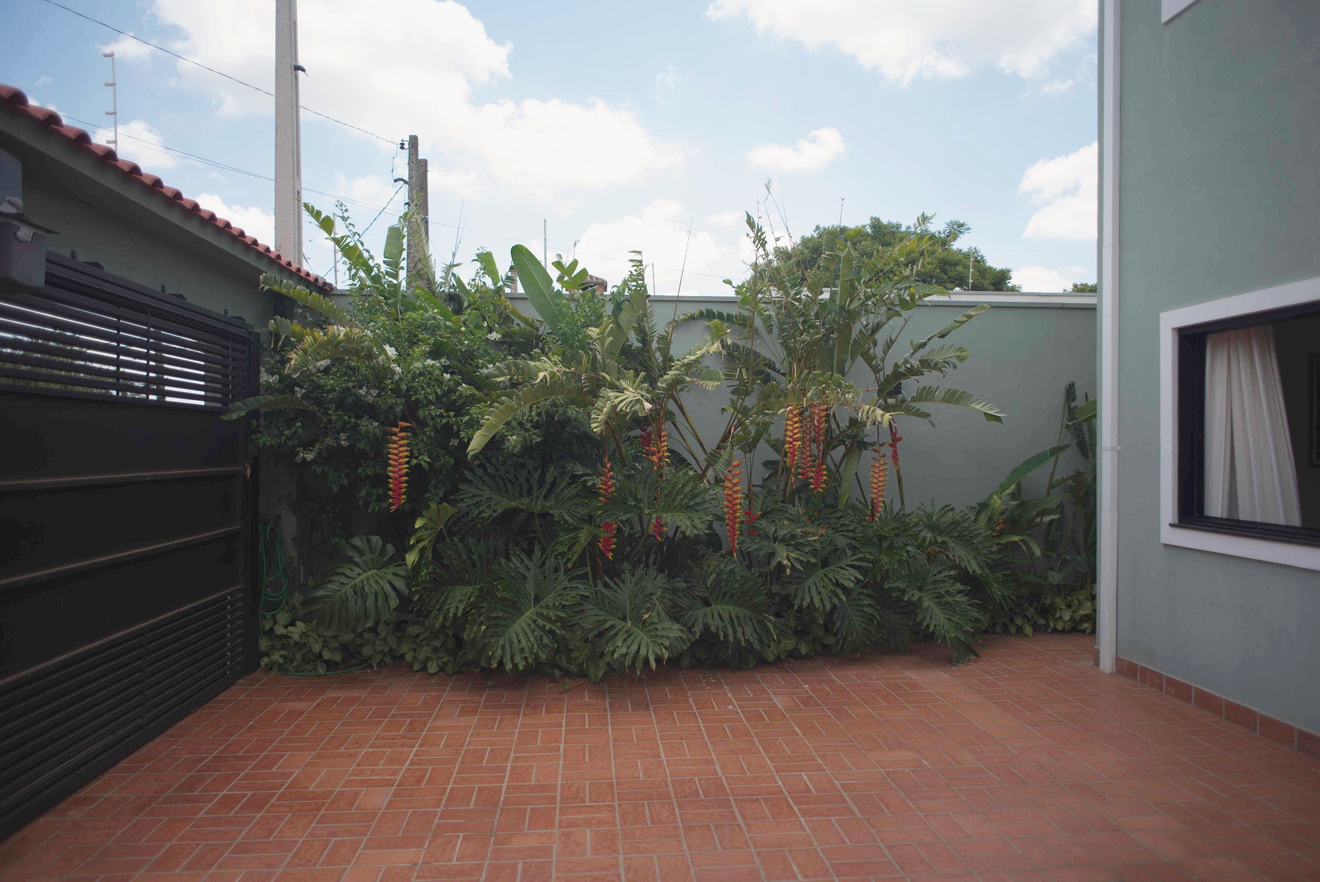 Paisagismo tropical no pátio interno