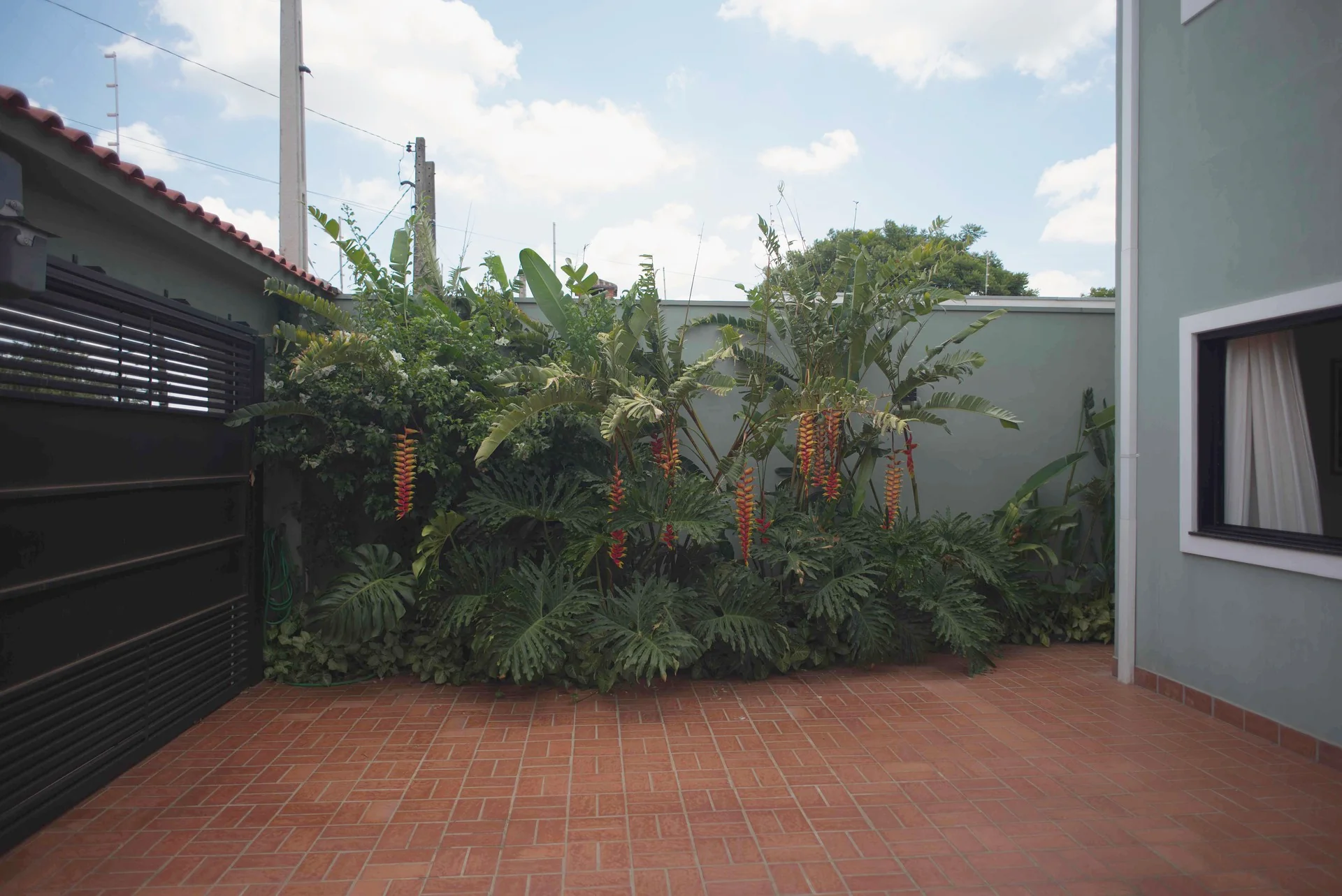 Paisagismo tropical no pátio interno